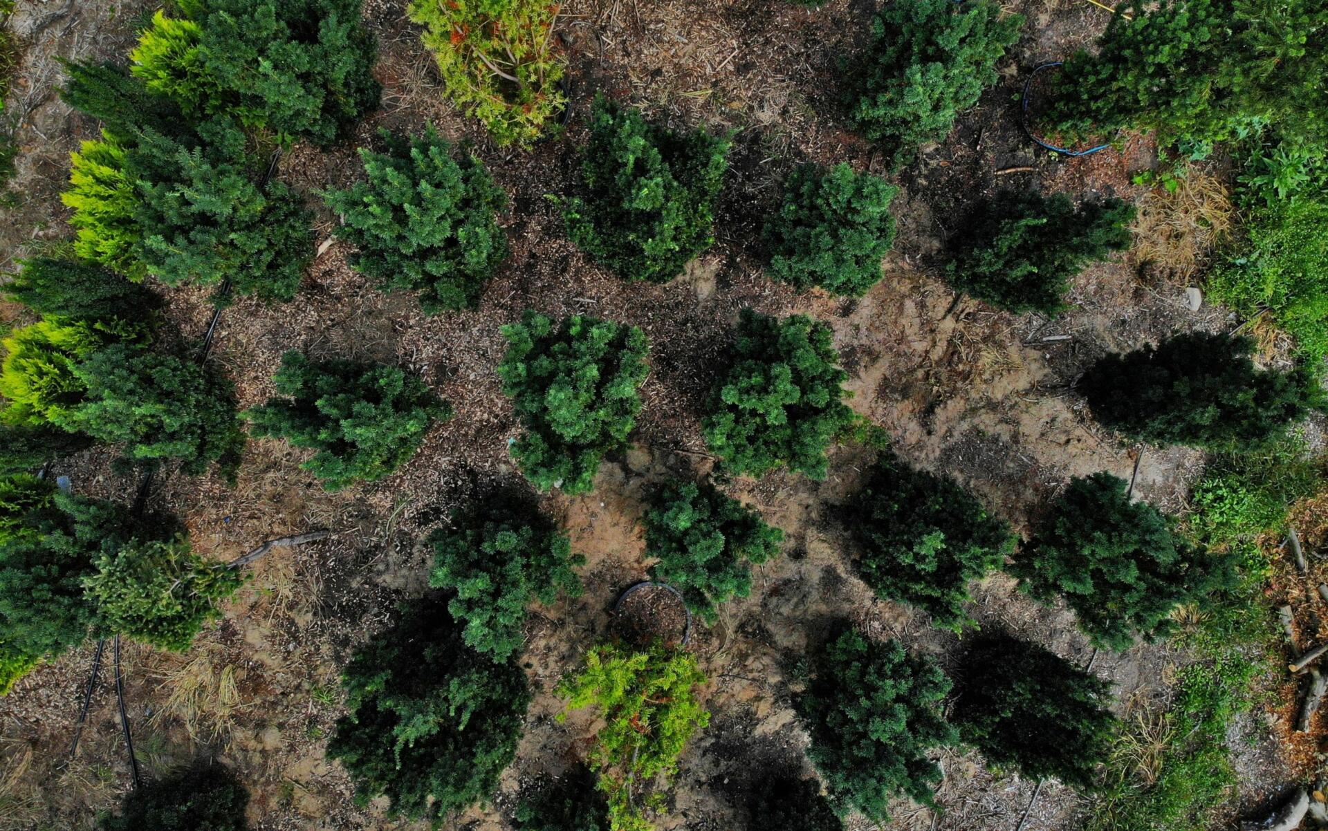 Oferta Specgarden Ł&oacute;dź